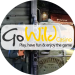 3 Reasons to join GoWild Casino