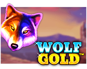 wolf gold sun play